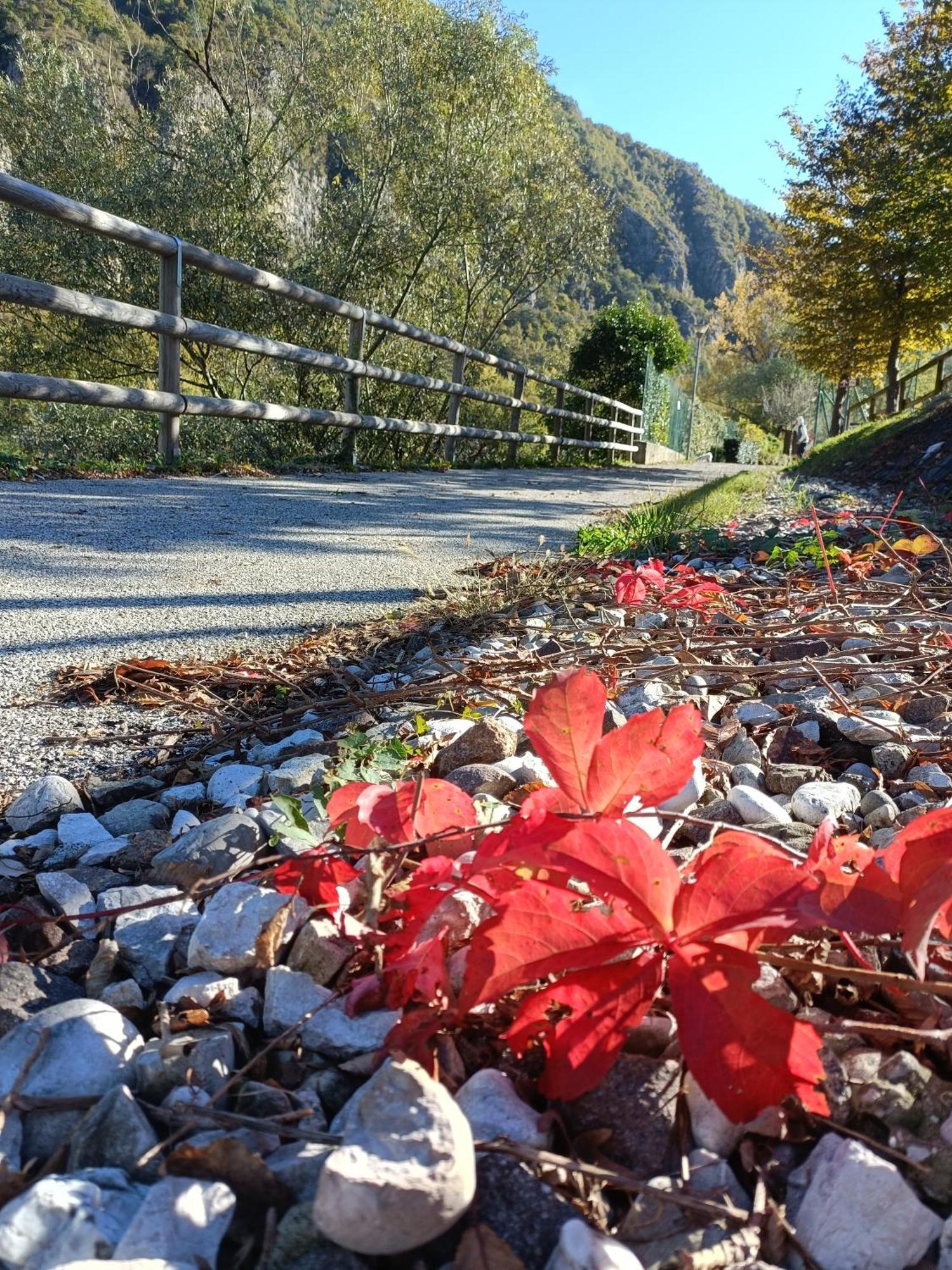 Borgo Lungofiume B&B Valbrenta Eksteriør bilde